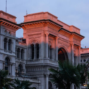 Concrete Jungle by Camille Massida Photography